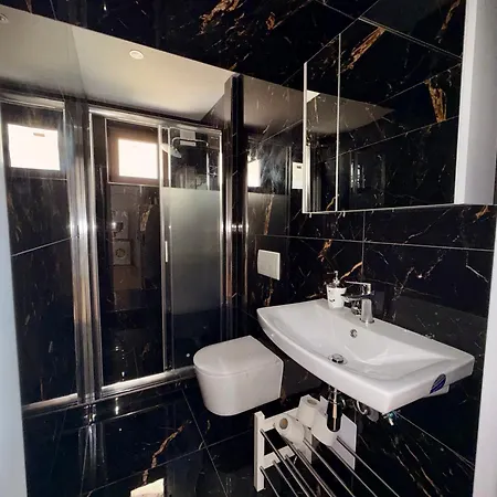 L&s House Apartment Prag