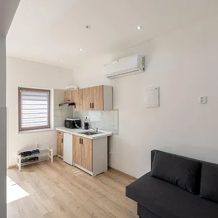 L&s House דירה פראג